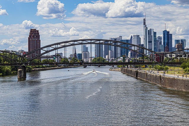 intelligentis Frankfurt